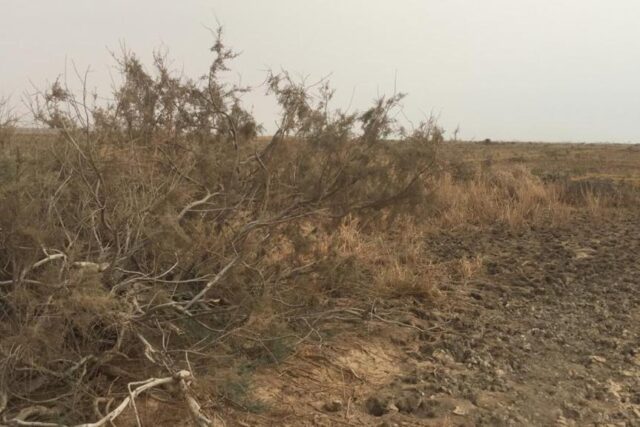 Terrain de 10 hectares vers Diama