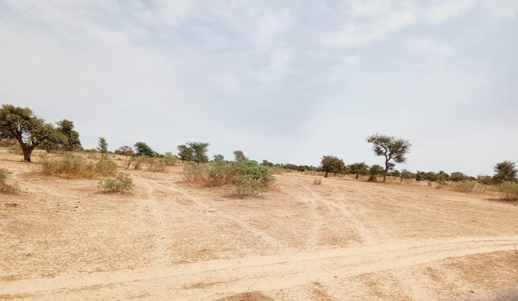 Terrain de 10 hectares vers Keur Samba Kane