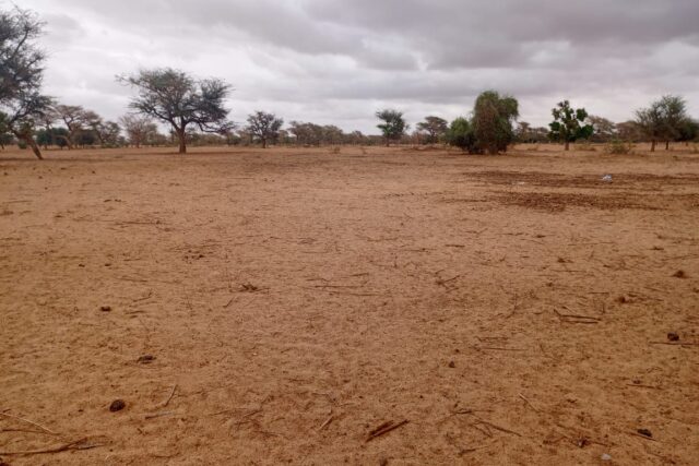 Terrain de 10 hectares vers Keur Samba Kane