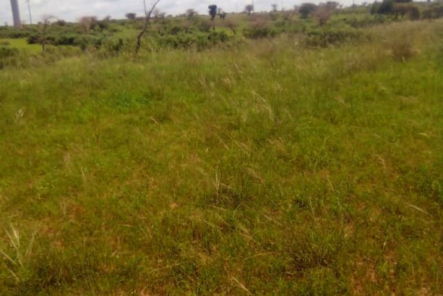 Terrain de 10 hectares vers Taïba Ndiaye