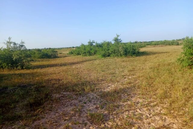 Terrain de 10 hectares vers Tassette Terrain de 10 hectares vers Tassette