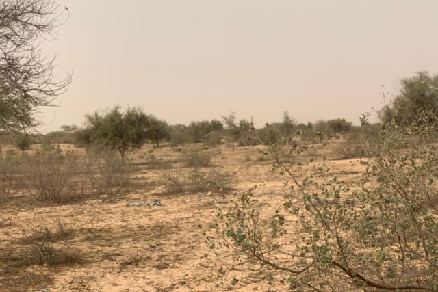 Terrain de 10,18 hectares vers Kébémer Terrain de 10,18 hectares vers Kébémer