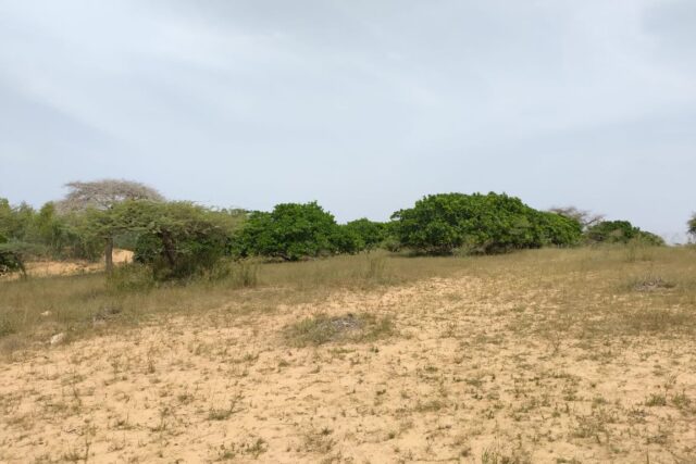 Terrain de 10,37 hectares vers Thieppe Terrain de 10,37 hectares vers Thieppe