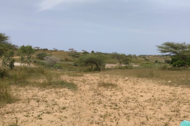 Terrain de 10,37 hectares vers Thieppe