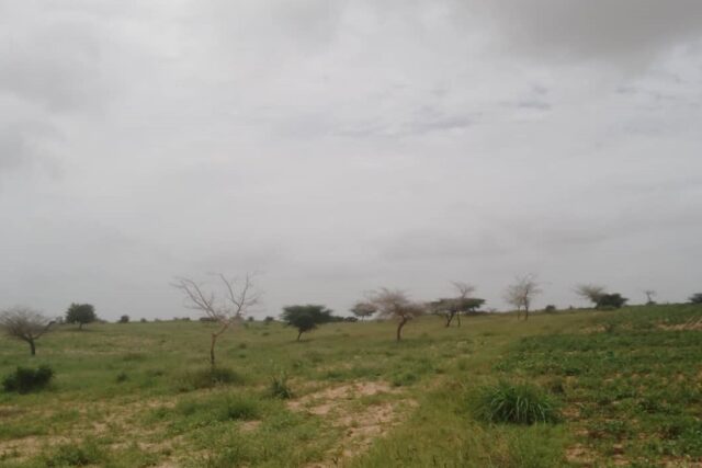 Terrain de 100 hectares vers Diokoul Diawrigne