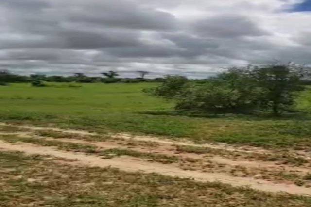 Terrain de 100 hectares vers Koul