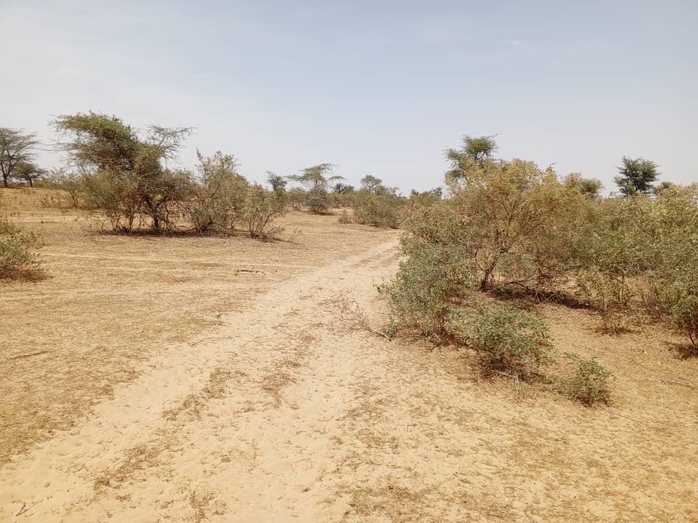 Terrain de 100 hectares vers Koul Terrain de 100 hectares vers Koul