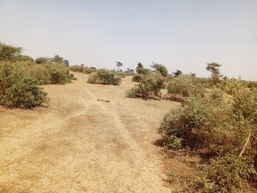 Terrain de 100 hectares vers Koul