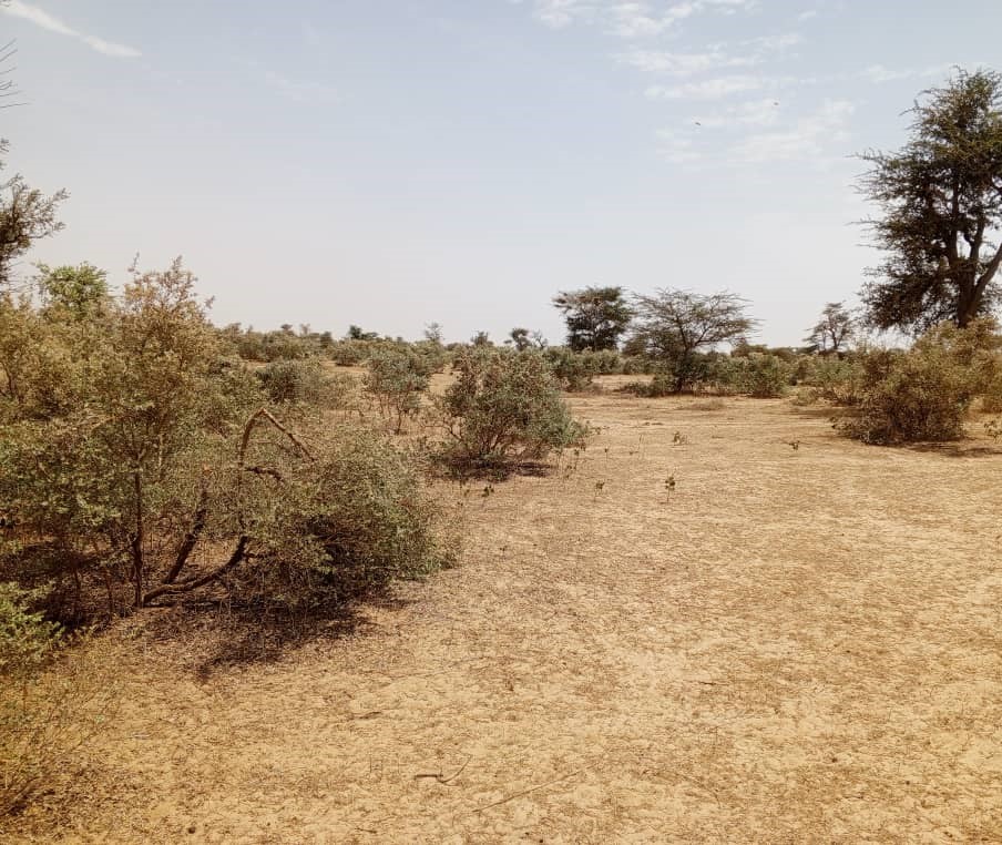 Terrain de 100 hectares vers Koul