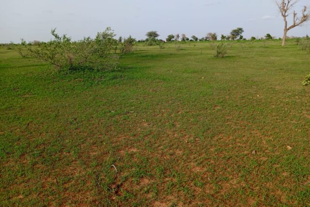 Terrain de 11,24 hectares vers Touba Lapé
