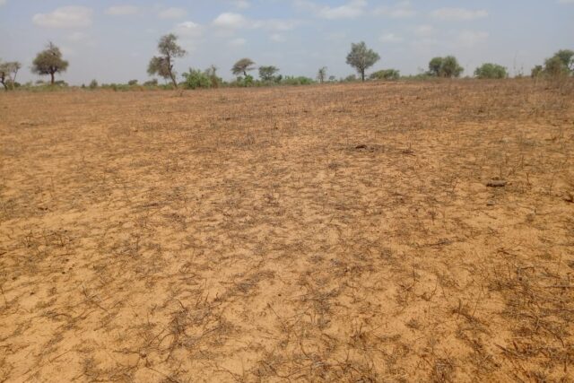 Terrain de 12,08 hectares vers Touba Toul