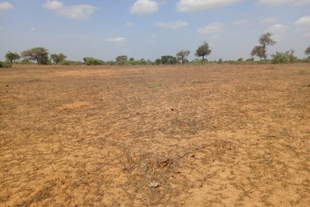 Terrain de 12,08 hectares vers Touba Toul