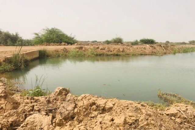 Terrain de 120 hectares vers Diama Terrain de 120 hectares vers Diama