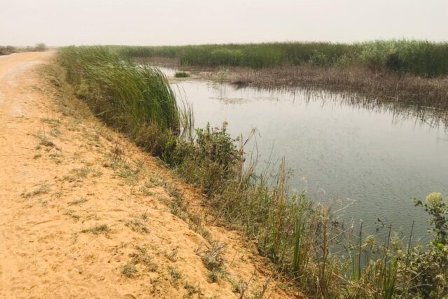 Terrain de 120 hectares vers Diama