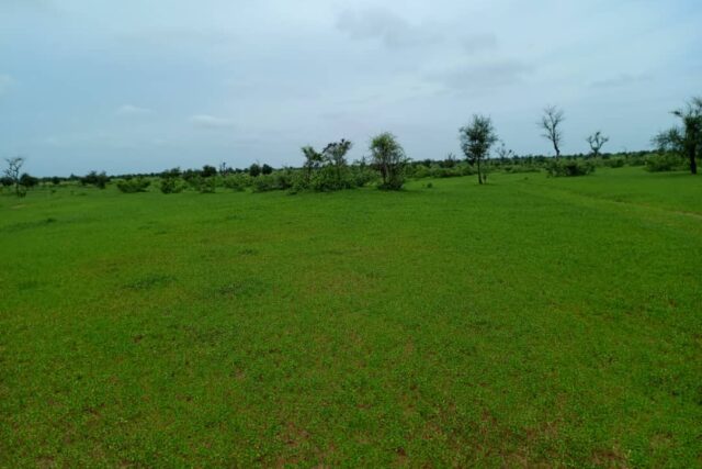 Terrain de 13 hectares vers Nghaye
