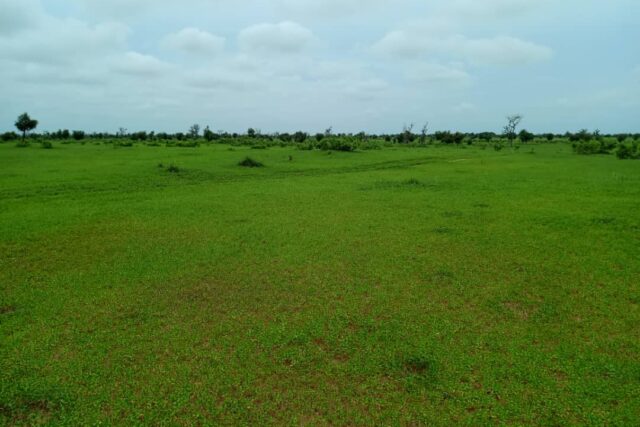 Terrain de 13 hectares vers Nghaye