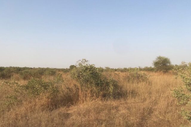 Terrain de 15 hectares vers Thiénaba Terrain de 15 hectares vers Thiénaba