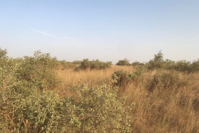 Terrain de 15 hectares vers Thiénaba