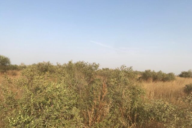 Terrain de 15 hectares vers Thiénaba