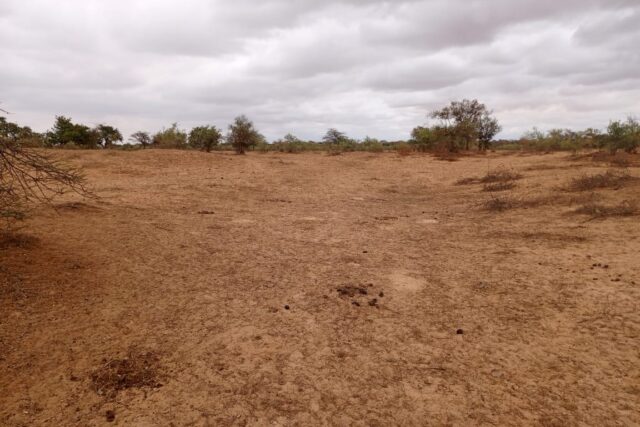 Terrain de 16 hectares vers Keur Samba Kane