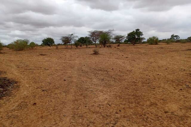 Terrain de 16 hectares vers Keur Samba Kane