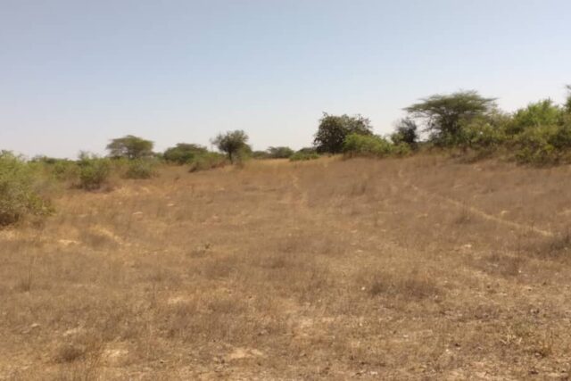 Terrain de 17 hectares vers Keur Samba Kane Terrain de 17 hectares vers Keur Samba Kane