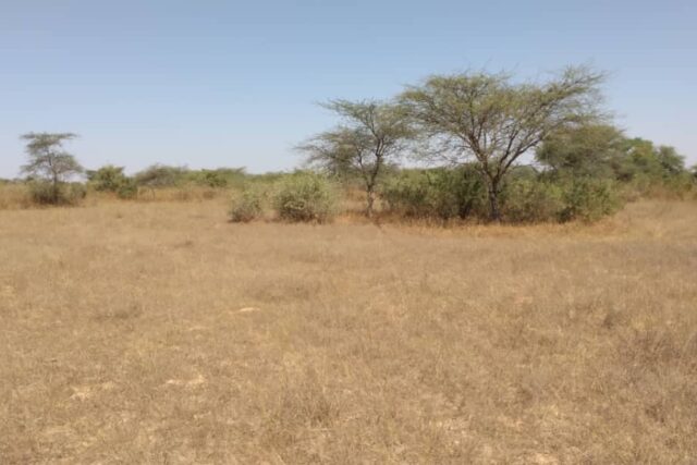 Terrain de 17 hectares vers Keur Samba Kane