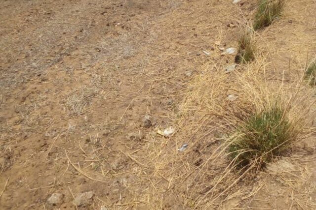 Terrain de 18 hectares vers Ronkh Terrain de 18 hectares vers Ronkh