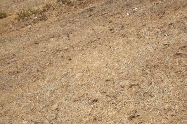 Terrain de 18 hectares vers Ronkh