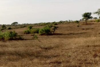 Terrain de 2 hectares vers Darou Khoudoss