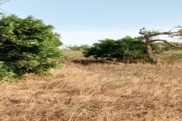 Terrain de 2 hectares vers Darou Khoudoss