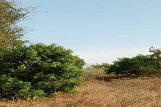 Terrain de 2 hectares vers Darou Khoudoss