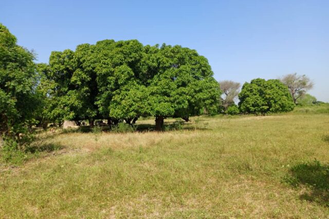 Terrain de 2 hectares vers Keur Madaro