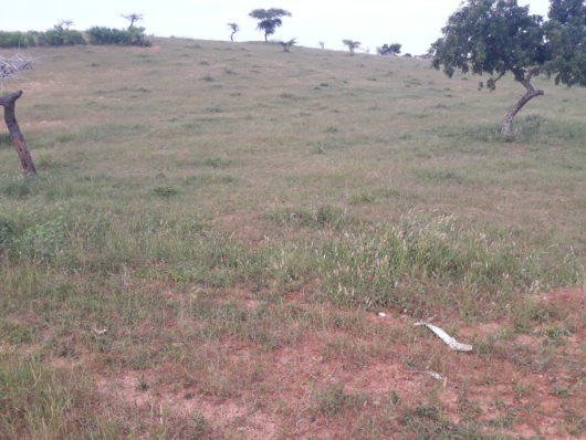 Terrain de 2 hectares vers Lompoul