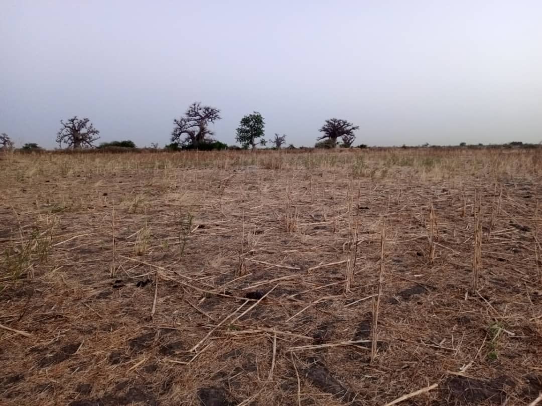 Terrain de 2 hectares vers Nguéniène