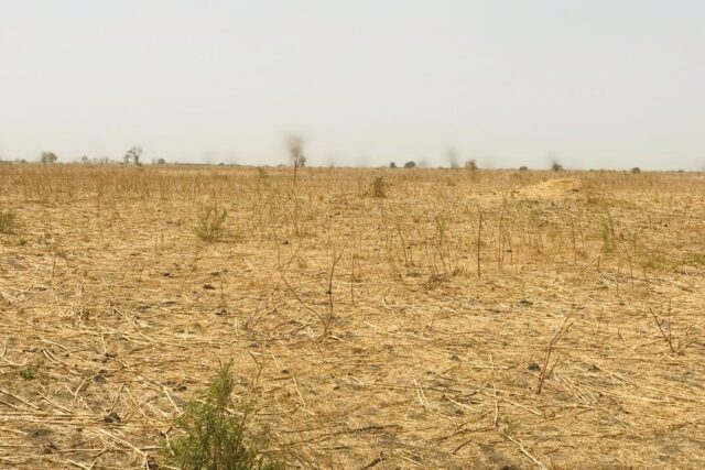 Terrain de 2 hectares vers Nguéniène