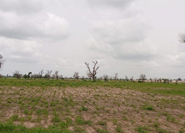 Terrain de 2 hectares vers Sandiara