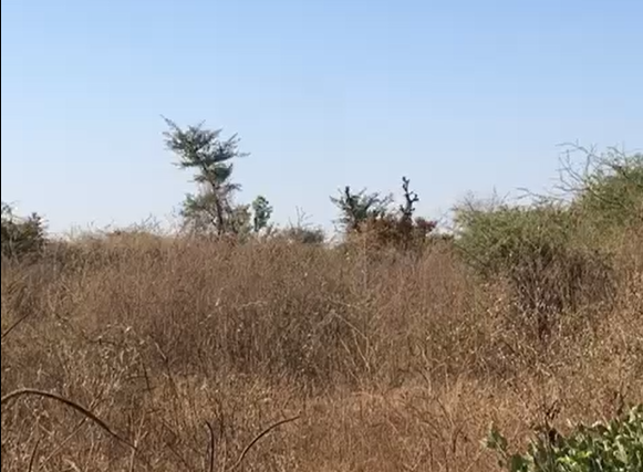 Terrain de 2 hectares vers Sindia