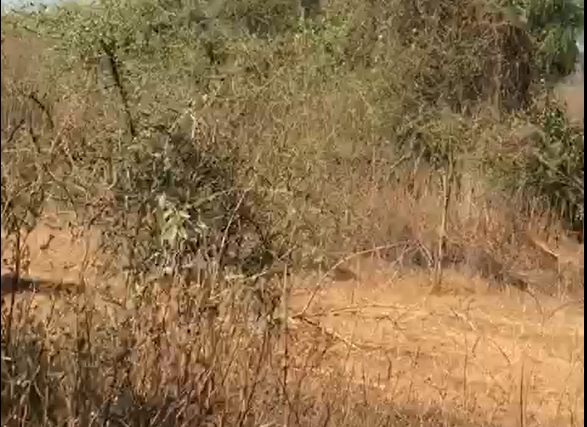 Terrain de 2 hectares vers Sindia