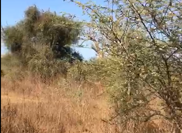 Terrain de 2 hectares vers Sindia