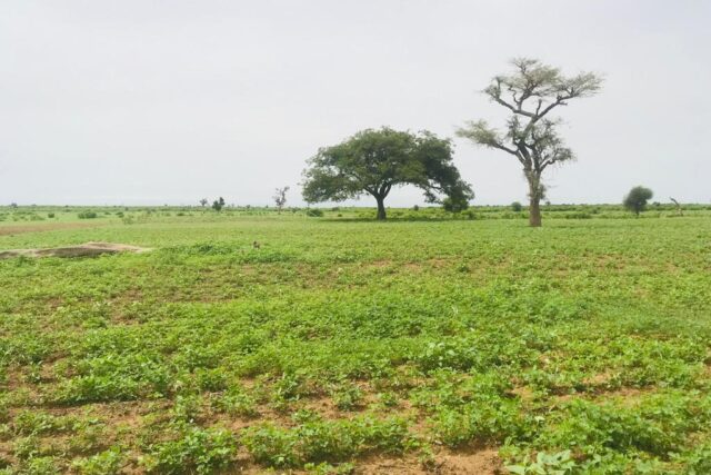 Terrain de 2 hectares vers Tassette