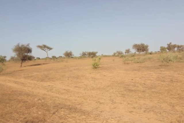 Terrain de 2 hectares vers Thiénaba