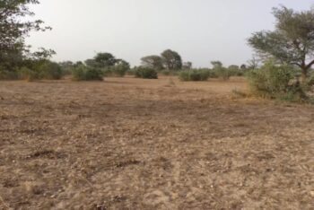 Terrain de 2 hectares vers Thiénaba