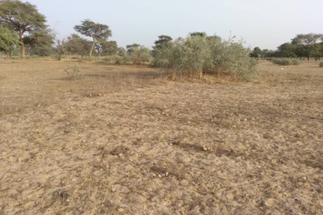 Terrain de 2 hectares vers Thiénaba