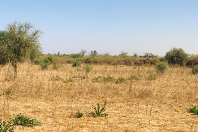 Terrain de 2,05 hectares vers Popenguine