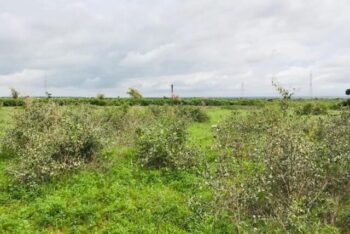 Terrain de 2,06 hectares vers Notto Gouye Diama