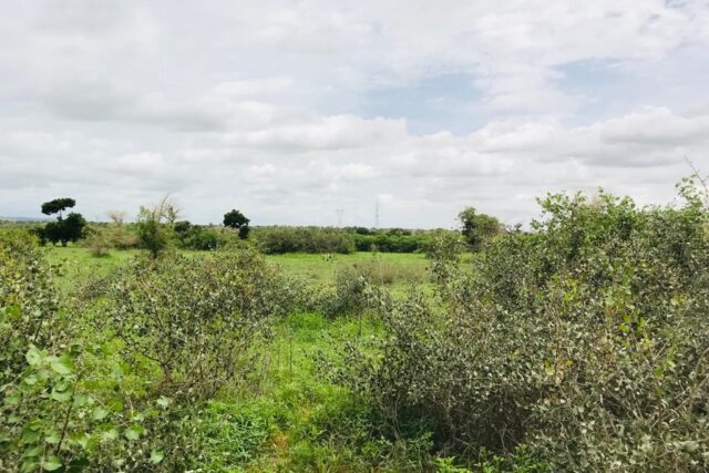 Terrain de 2,06 hectares vers Notto Gouye Diama