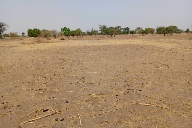 Terrain de 2,06 hectares vers Tassette