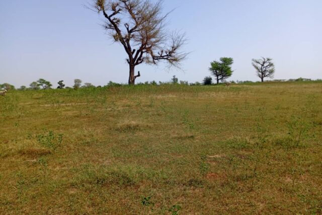 Terrain de 2,07 hectares vers Khombole