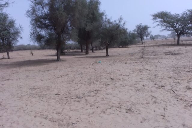 Terrain de 2,08 hectares vers Baba Garage